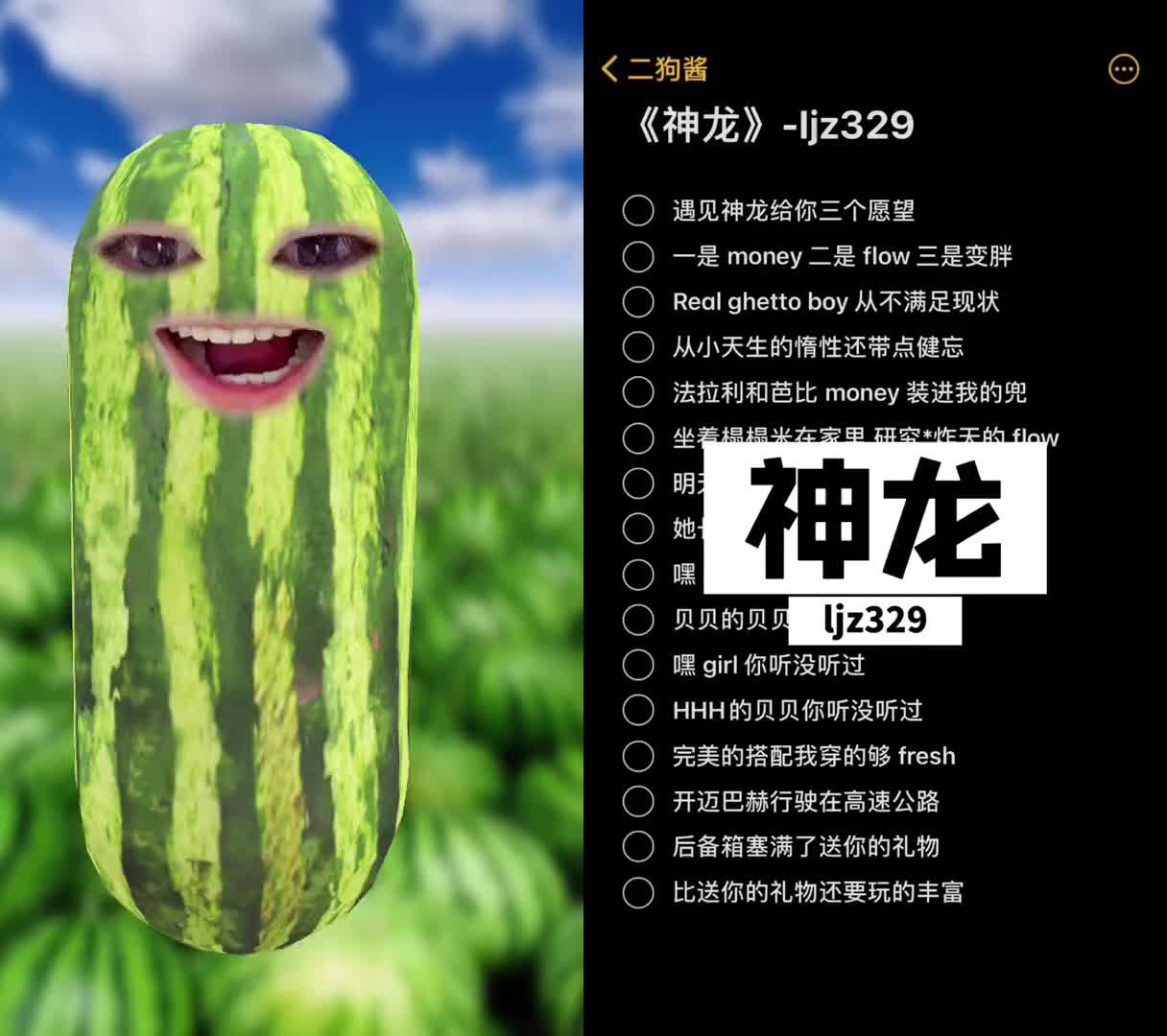 和二狗酱了一起合拍日常现学现卖神龙贝贝rap纯情男高