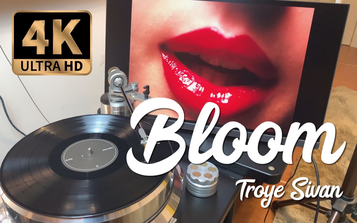 【4K黑胶试听】戳爷 Troye Sivan “Bloom” 唱片欣赏(中英文歌词)哔哩哔哩bilibili