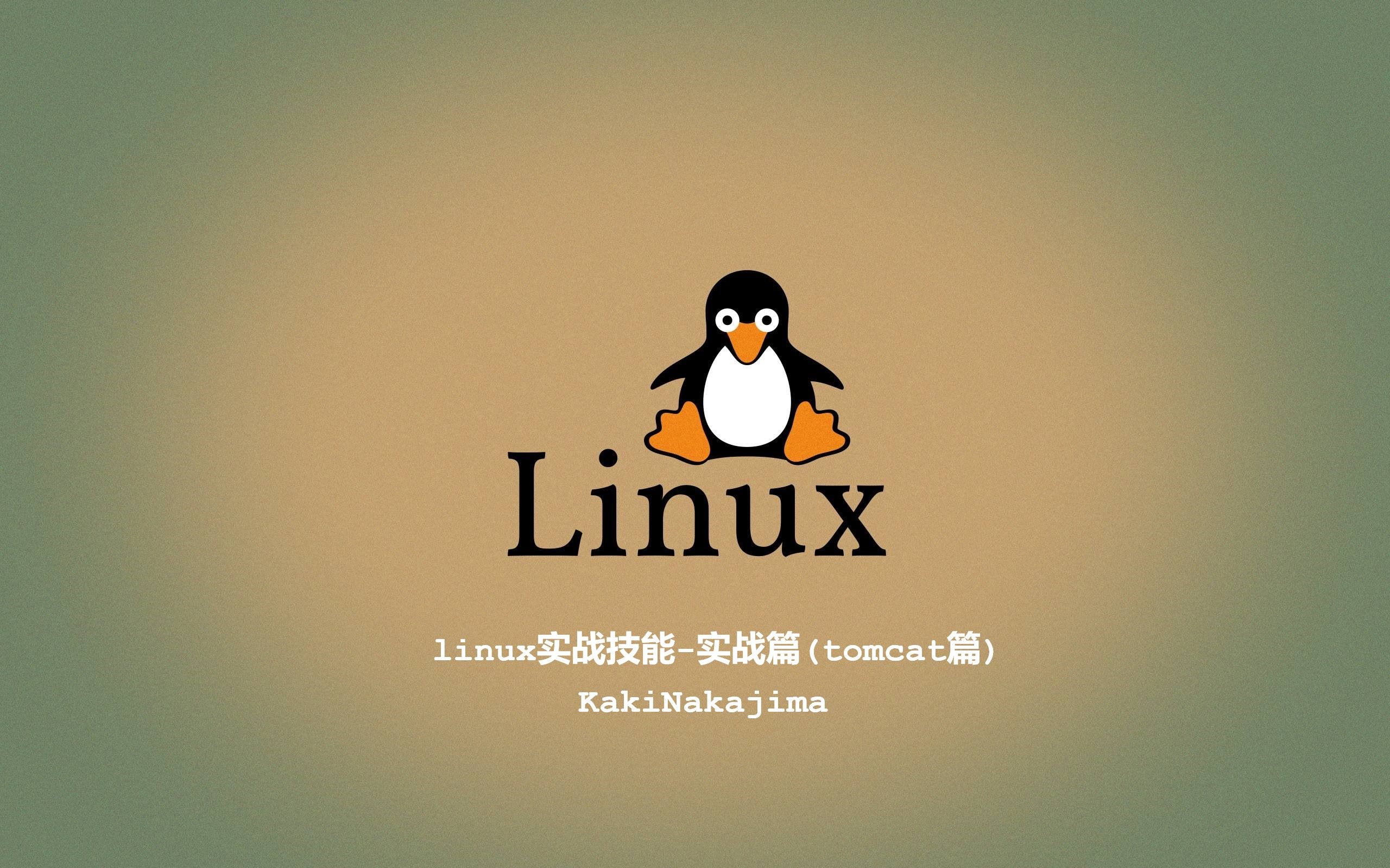 linux实战技能实战篇(tomcat篇)哔哩哔哩bilibili