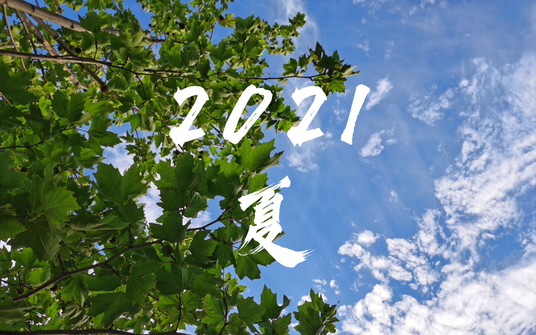 再见,2021年夏!
