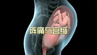 阵痛与宫缩