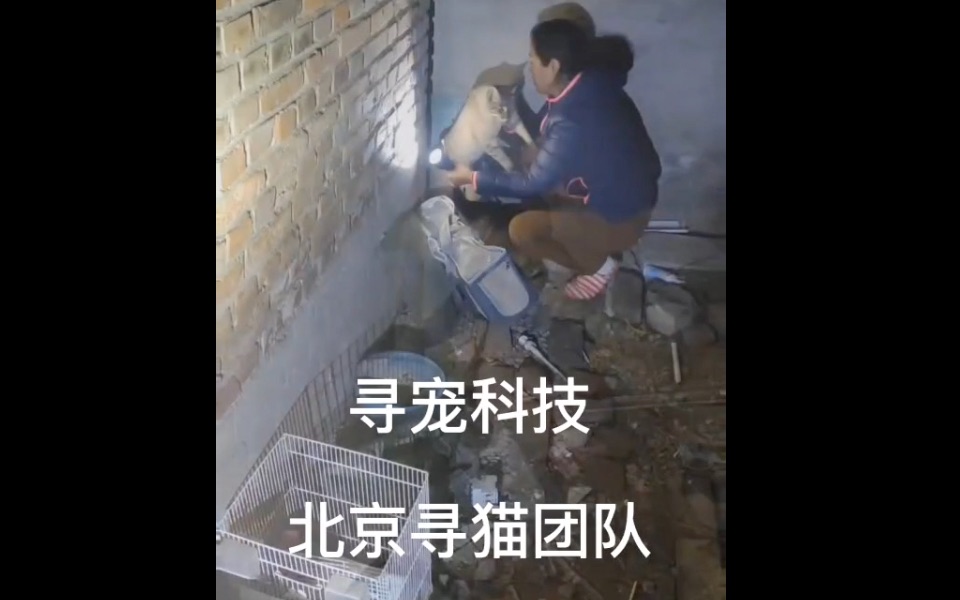 专业找猫寻狗公司北京寻宠科技成果寻回被狗狗吓跑的猫咪哔哩哔哩bilibili