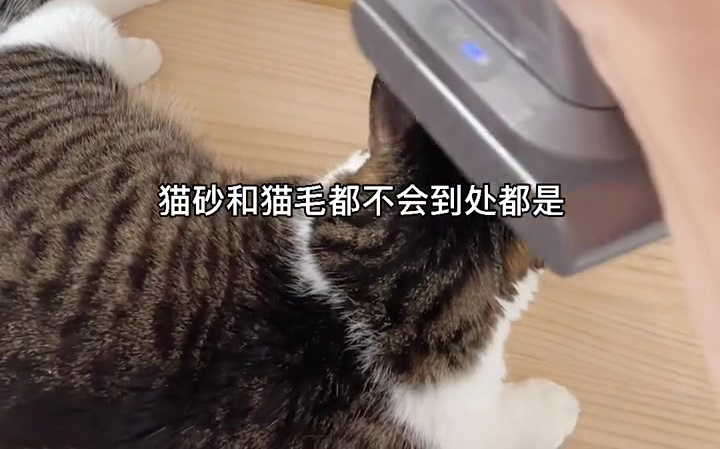 是你们问了无数次的猫咪屋详细讲解 装修设计 猫屋制作 养猫日常哔哩哔哩bilibili