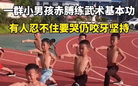 小男孩光膀子练武术图片