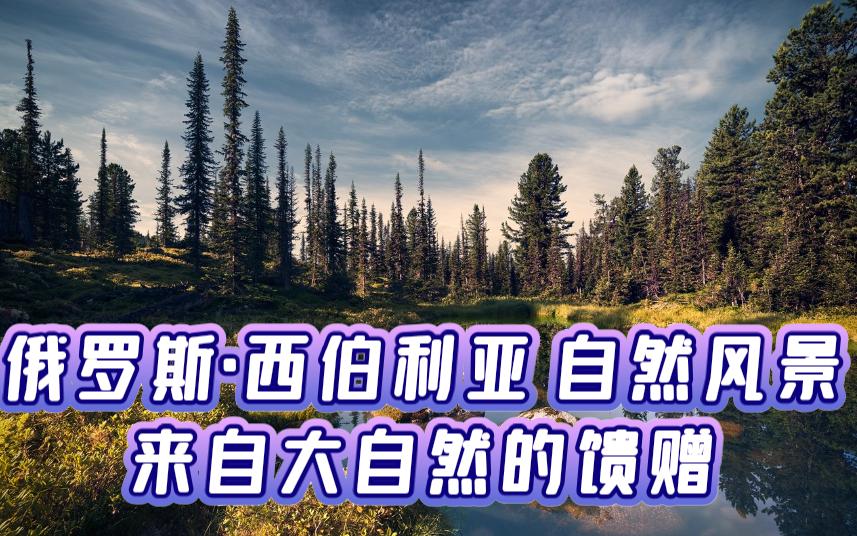 【俄罗斯】西伯利亚 自然风景,来自大自然的馈赠哔哩哔哩bilibili