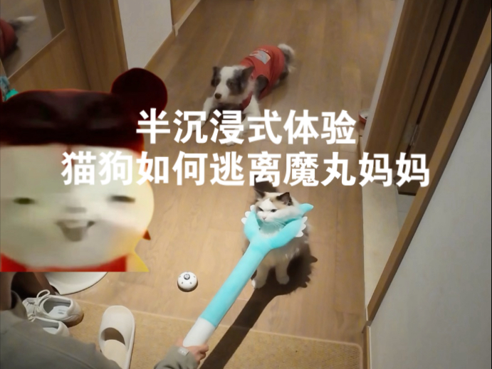 比冷空气来得更早的是幸福