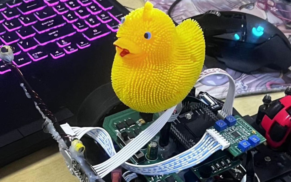 学妹说车车跑不明白就弹他脑壳儿