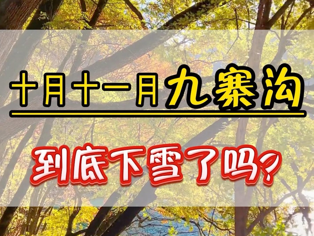 十月份十一月份的九寨沟下雪了吗?要穿什么样的衣服有哪些注意事项?需要多少预算?这些视频给你说的明明白白,记得点赞收藏#九寨沟旅游攻略 #四川...