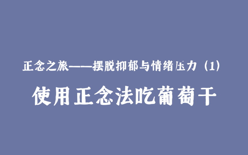 『正念之旅』正念饮食——手把手带你逐渐摆脱情绪压力哔哩哔哩bilibili