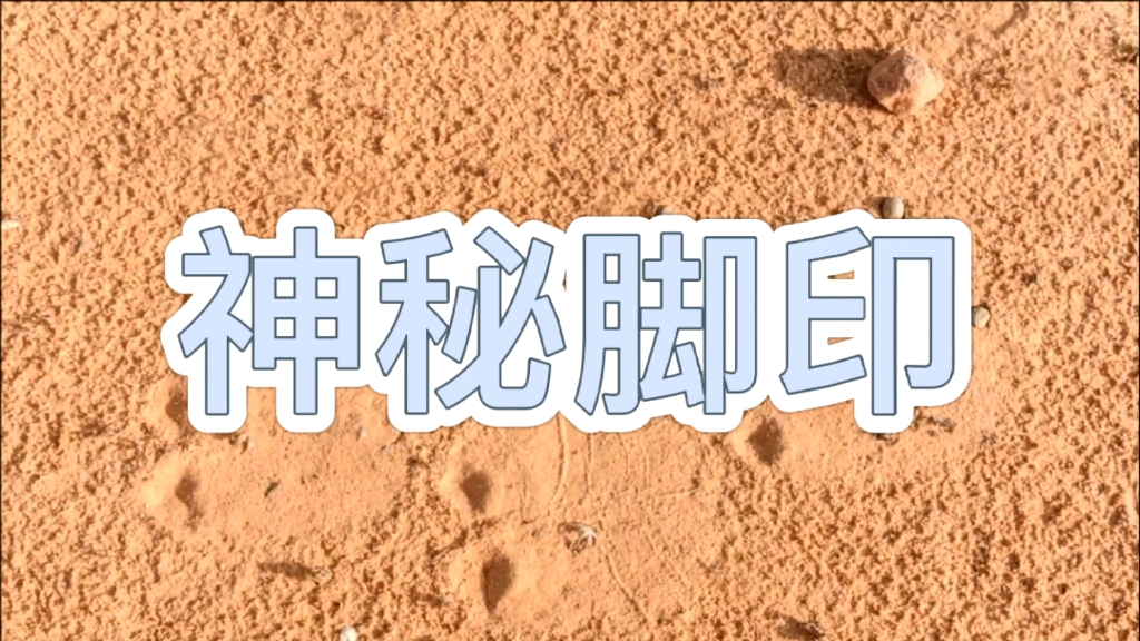 NASA爆出火星上疑似脚印照片哔哩哔哩bilibili