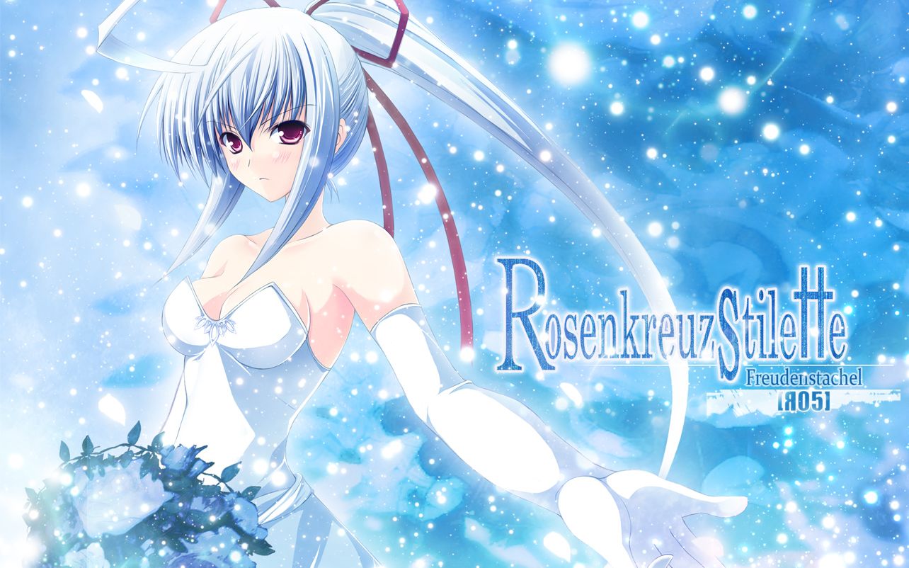 rosenkreuzstilette ver0.22b 蔷薇十字小剑 试玩版