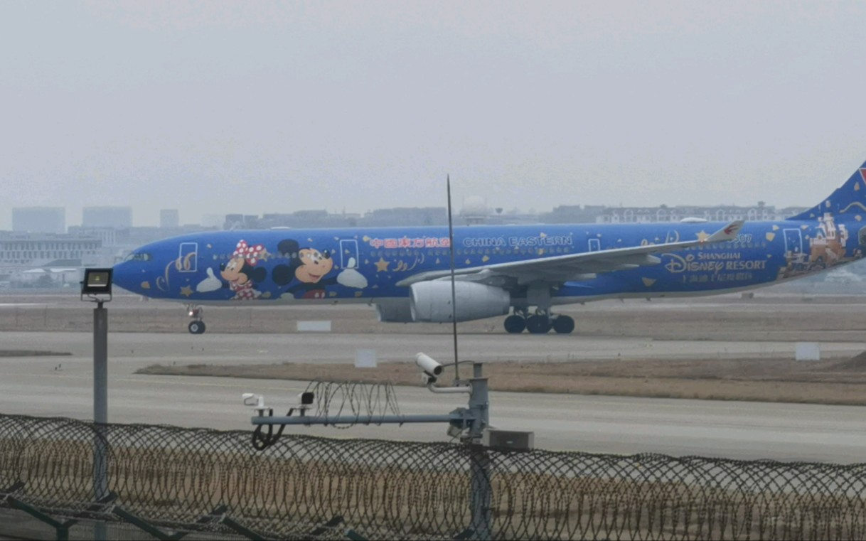 東方航空迪士尼號b6507