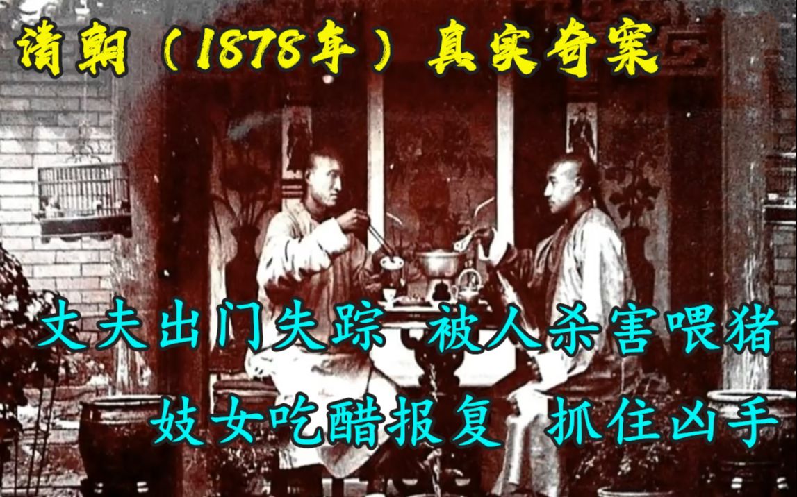 清朝真实奇案(1878年):丈夫出门失踪,被人杀害喂猪,女子吃醋报复,抓住凶手哔哩哔哩bilibili