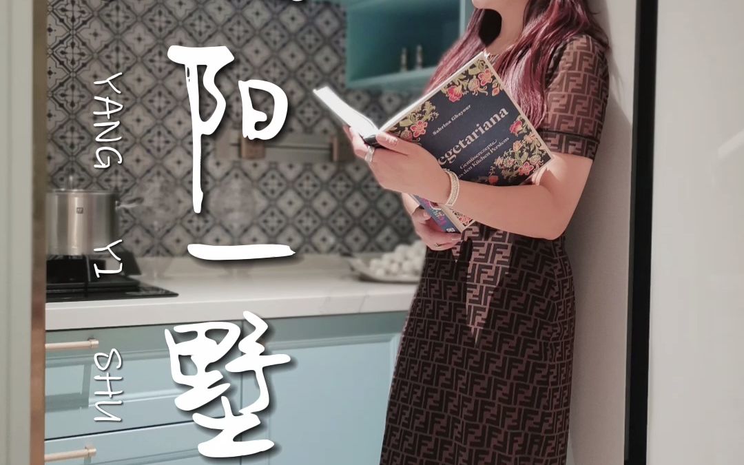 孟玥臻所理解的朝阳一墅_哔哩哔哩_bilibili