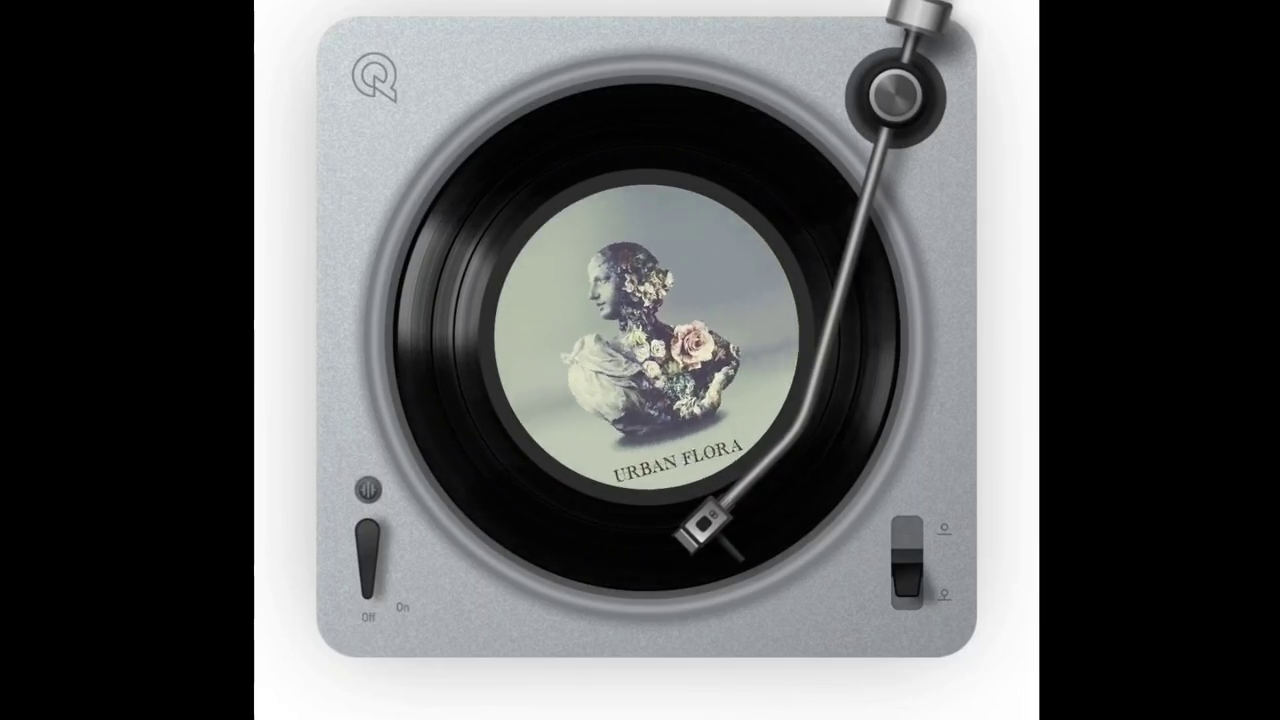 unfold绽放演唱者alinabarazgalimatia