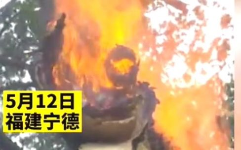 宁德福安一棵600年古树遭雷电击后起火,火势从树根燃至树梢哔哩哔哩bilibili