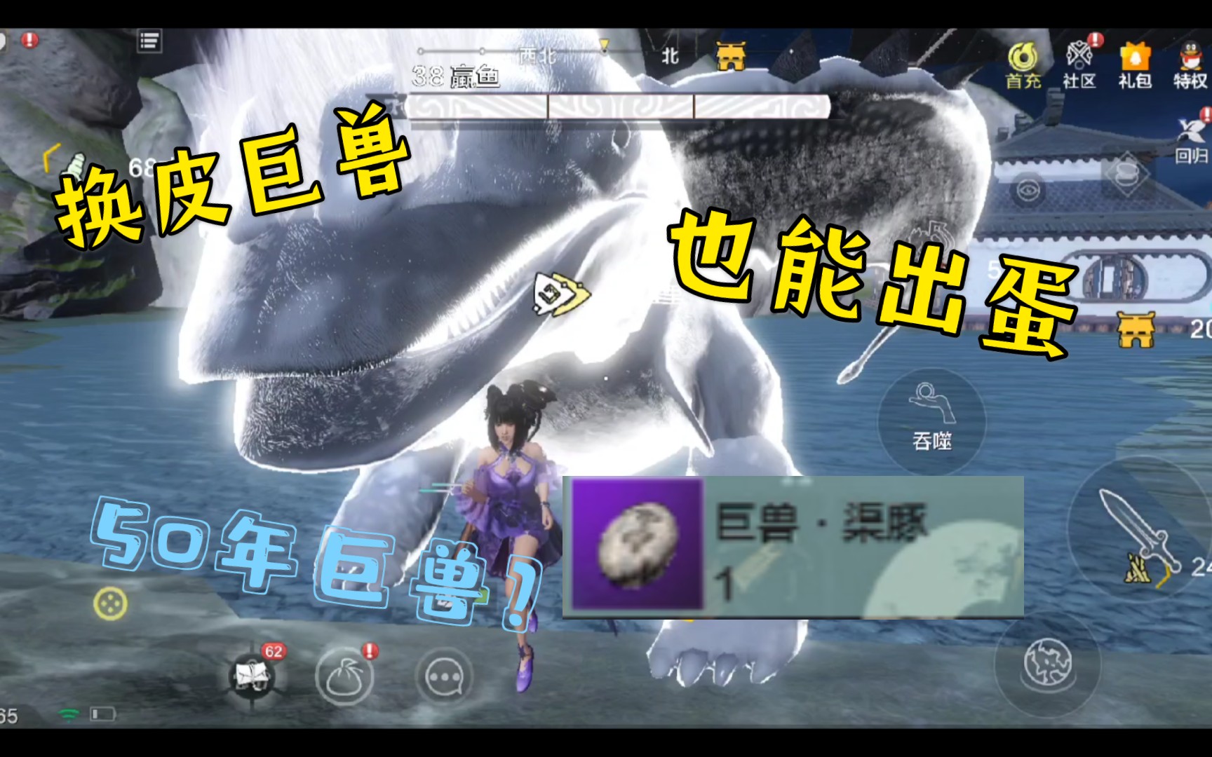 活动作品妄想山海星空紫偶遇50年换皮巨兽运气真好出了蛋蛋