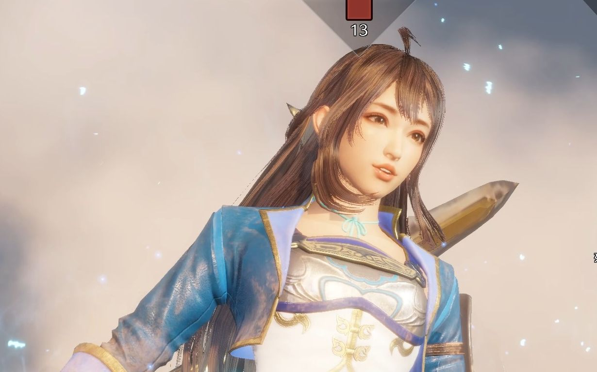 【真三国无双8帝国】头上长呆毛 手里拿大斧 辛宪英 汉中防卫战