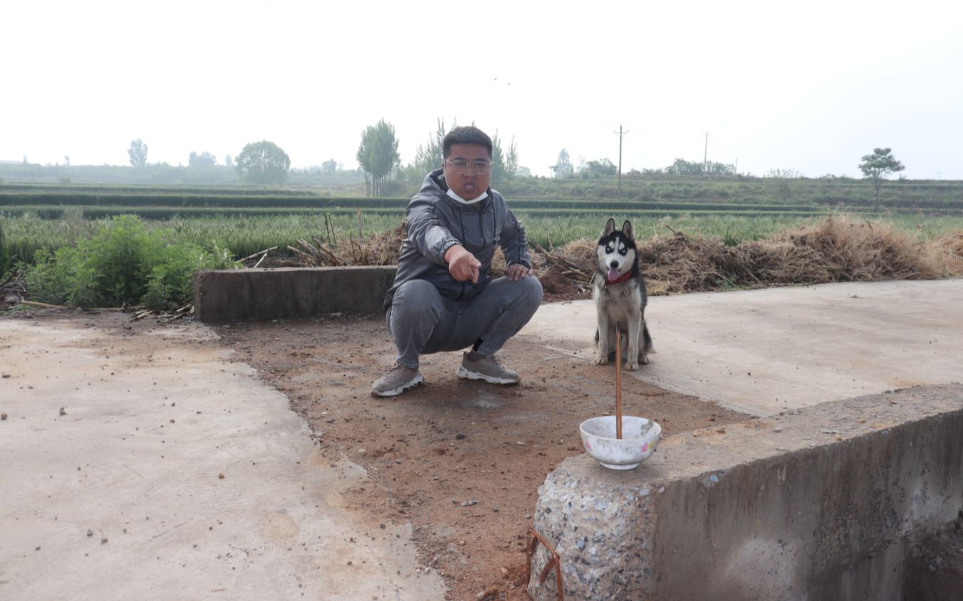 [图]桥头的碗中立双筷子，这不可思议的操作怎么做到的？简直太神奇了