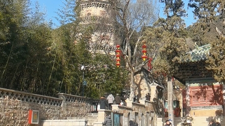 灵岩寺,始建于东晋,距今己有1600多年的历史.该寺历史悠久,佛教底蕴丰厚,自唐代起就与浙江国清寺、南京栖霞寺、湖北玉泉寺并称“海内四大名刹...