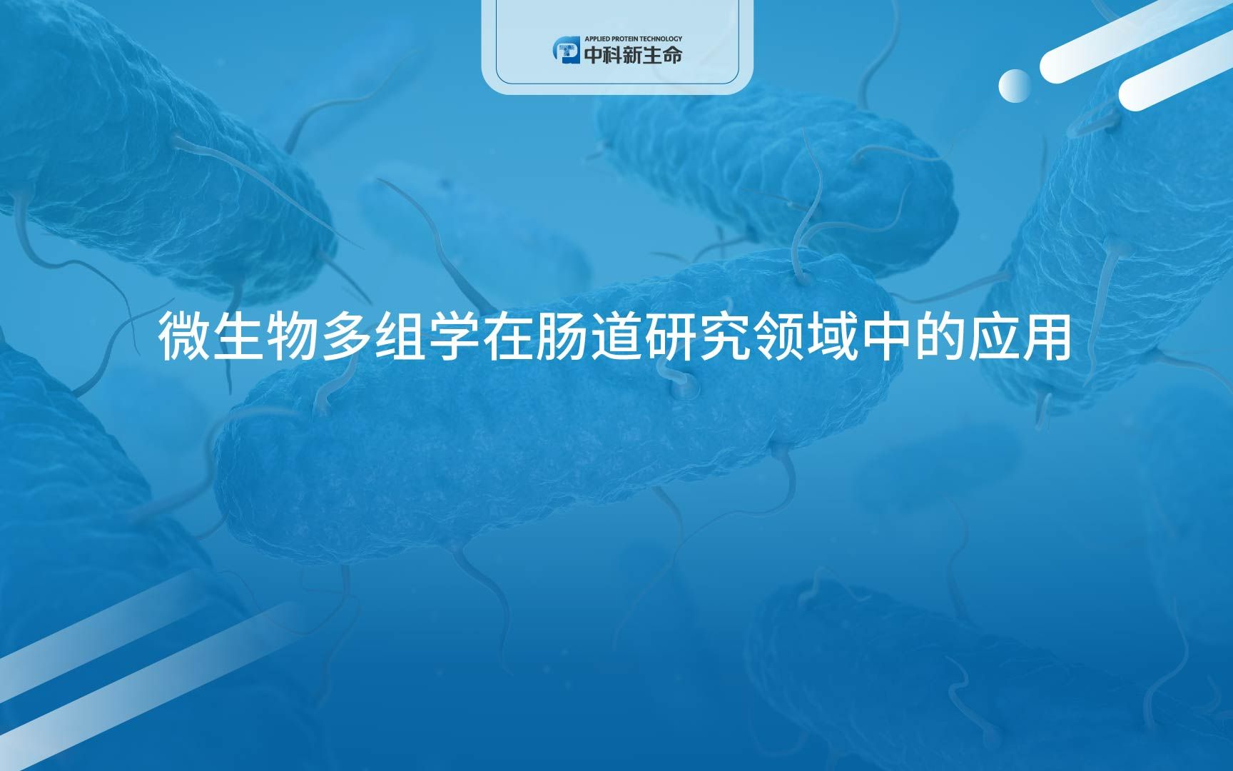 【中科新生命】微生物多组学在肠道研究领域中的应用哔哩哔哩bilibili