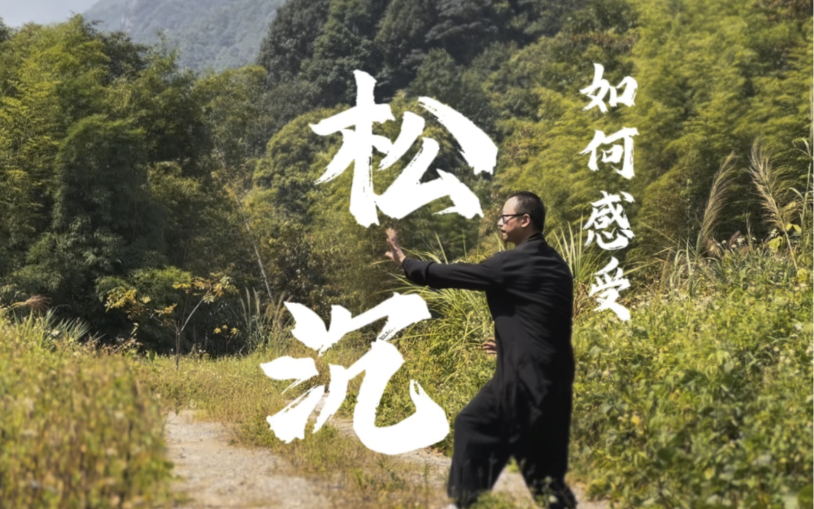 形意拳三体式如何体会松沉之劲 #形意拳 #内家拳 #武术健身 ￼哔哩哔哩bilibili