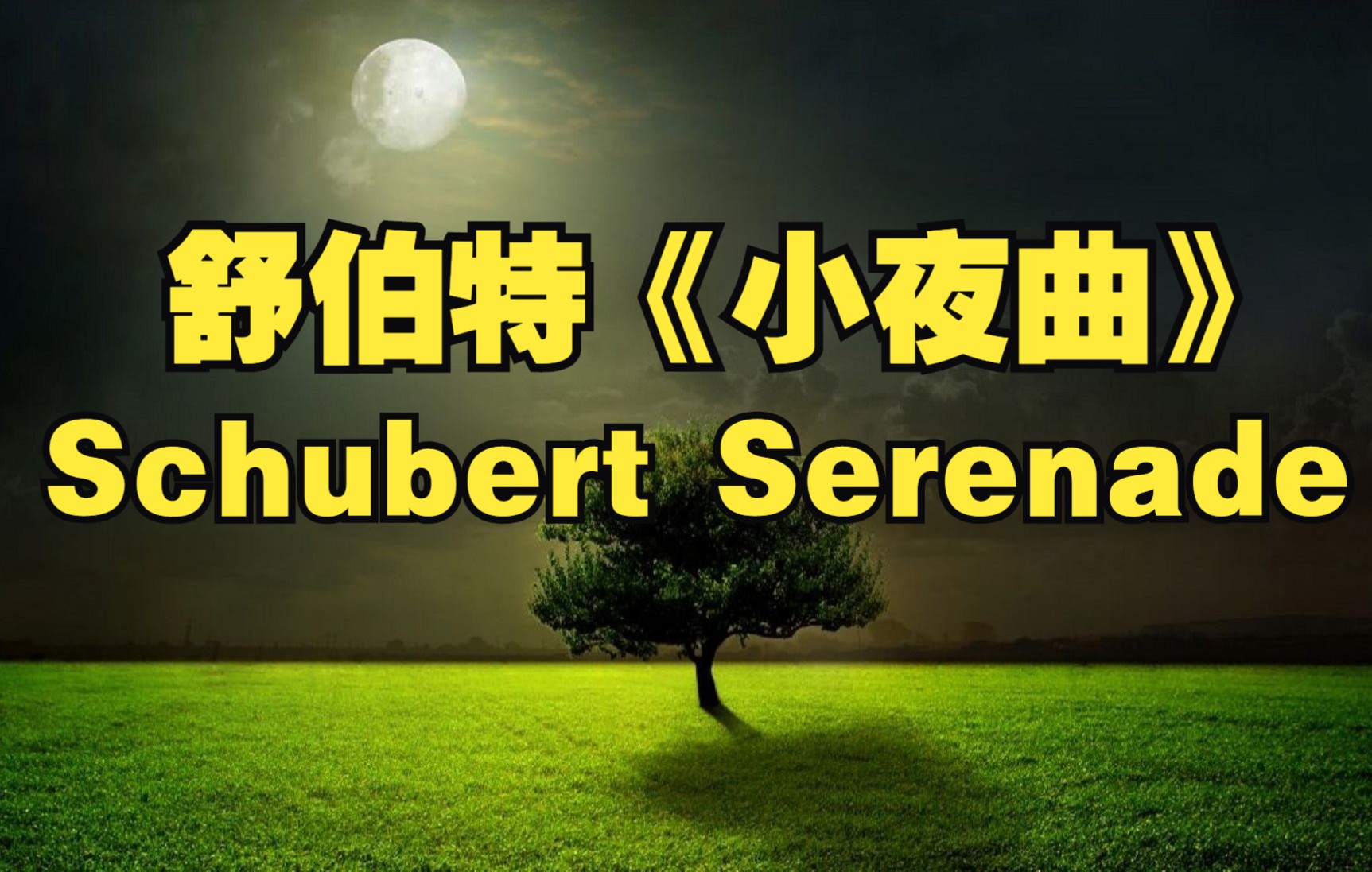 [图]舒伯特《小夜曲》❤ Schubert Serenade 钢琴指法