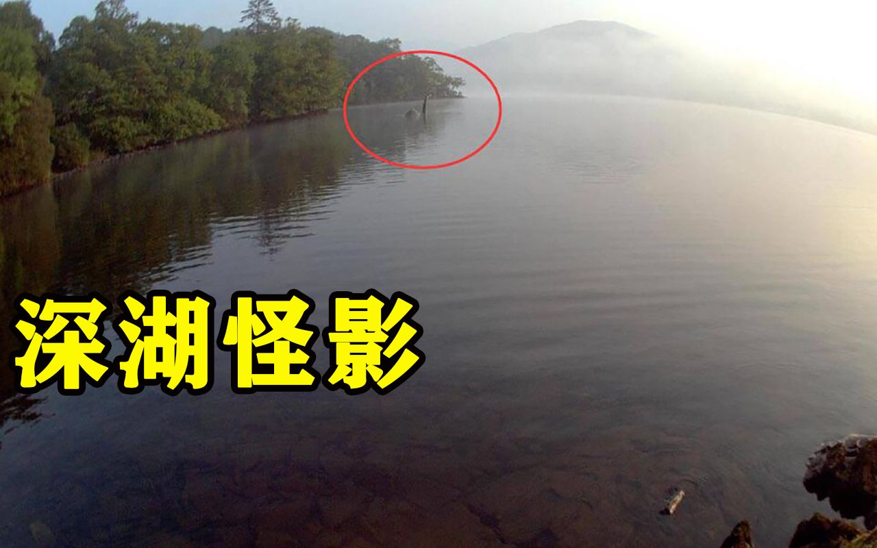 [图]深湖怪影：不明生物湖中窜出，又消失不见，神秘水怪科学大揭秘！