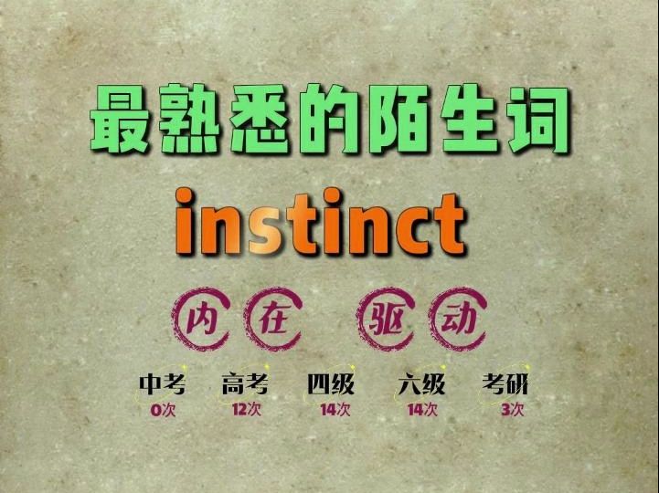 一秒速记高频单词:instinct哔哩哔哩bilibili