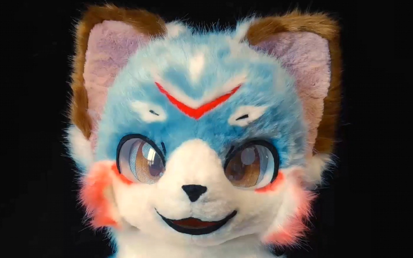 kasao的小脑袋 发发之前做好的头 兽装fursuit(罗比)