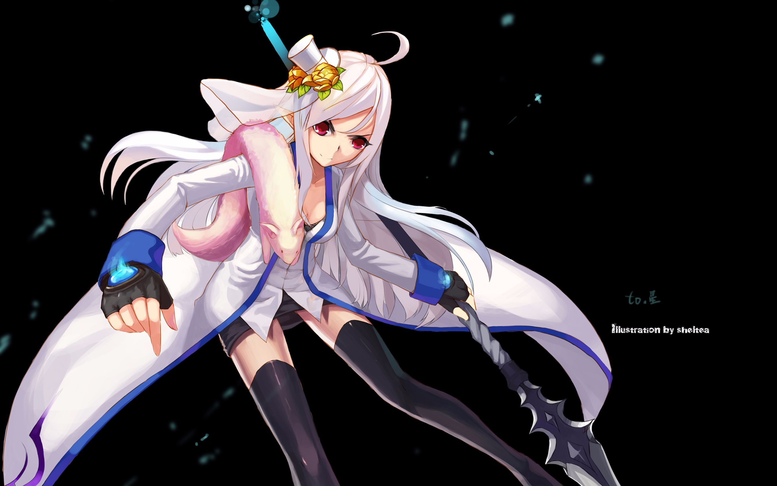 sorry帕拉丁刷白图真的可以为所欲为