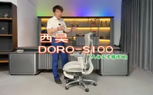 Descargar video: 西昊DORO-S100人体工学椅评测