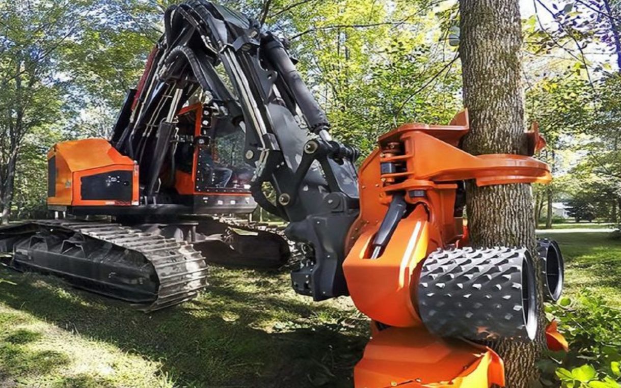 国外大型伐木机器,砍树过程就像在"割草",真的太厉害了