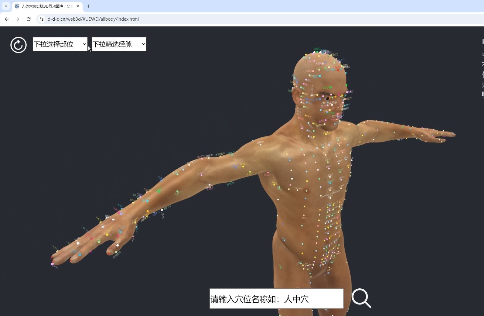 [图]官宣！人体全身穴位3D互动宝典正式发布。全身14条经脉+经外奇穴无一遗漏立体呈现，可按身体部位和经脉分类筛选，动态演示循经路线，带穴位搜索和自动定位