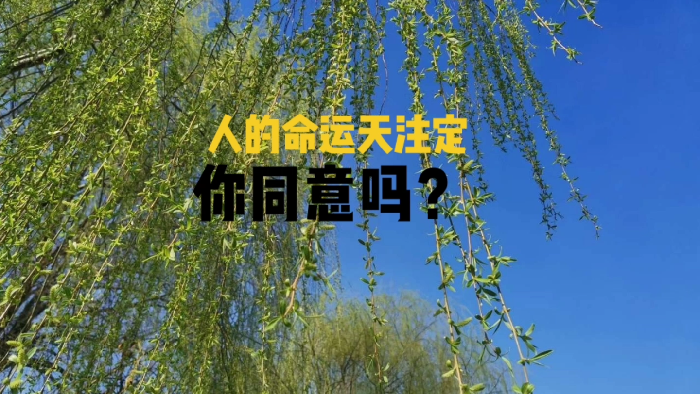 [图]人的命运是天注定的，你同意吗？