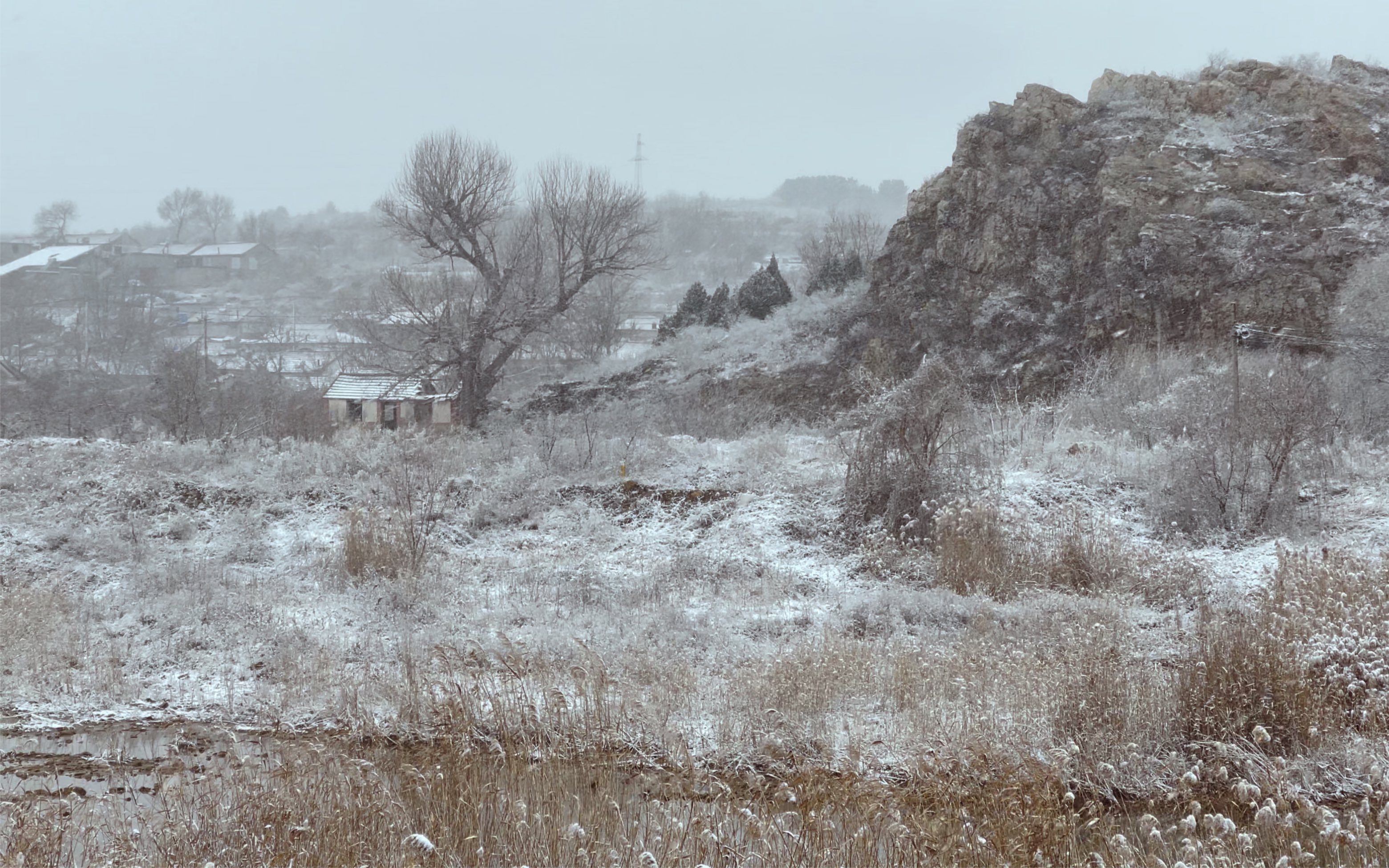 烟台又白了,栖霞山村雪景,也不错呀哔哩哔哩bilibili