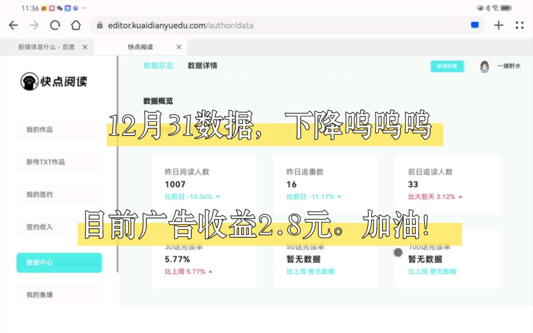 12月31日数据,目前广告收益2.8元哔哩哔哩bilibili