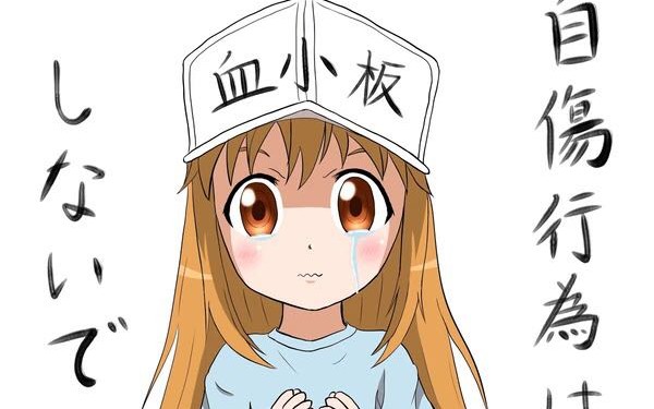 暴走漫画回归,官方致歉英烈家属!哔哩哔哩bilibili