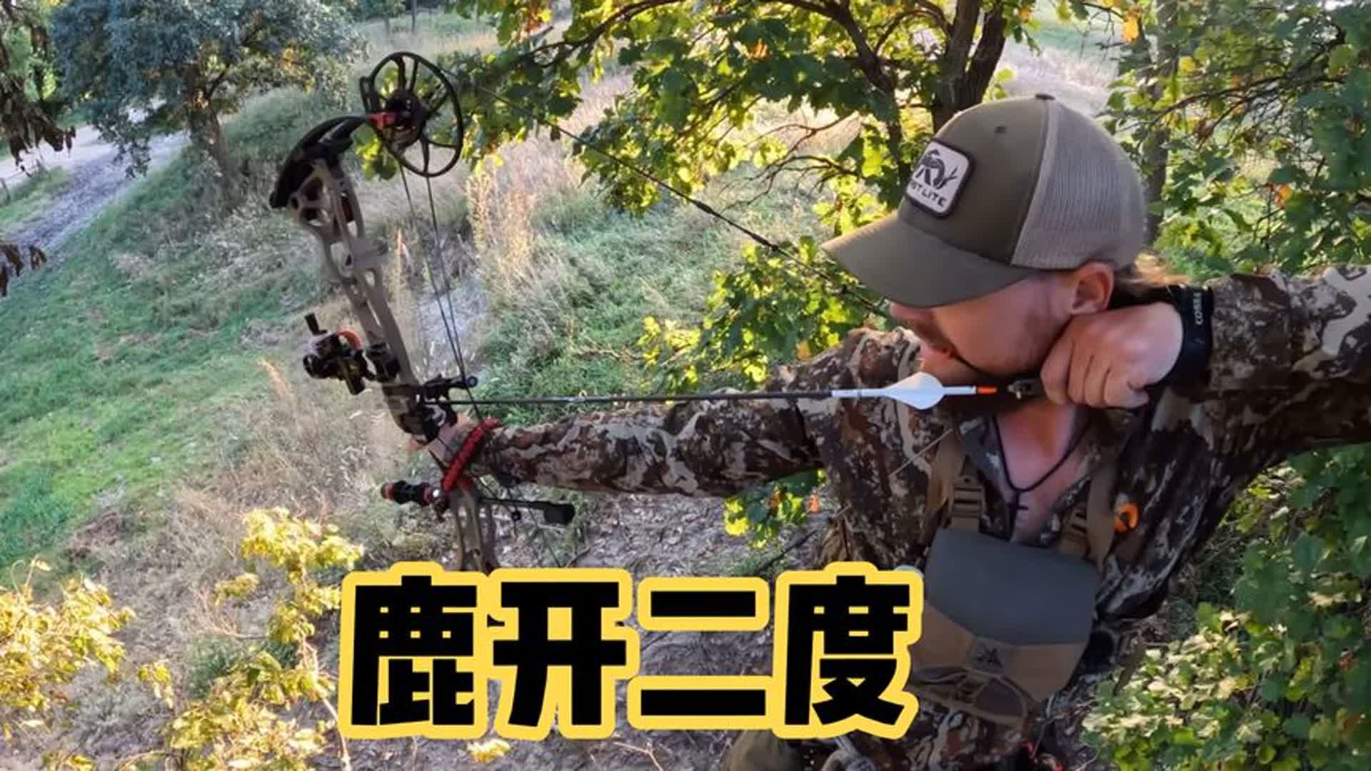 老外复合弓狩猎白尾鹿,直接梅开二度,这运气太好了