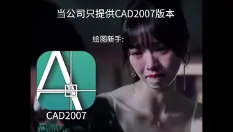 当公司只提供CAD2007版本时，小白与老手的区别...