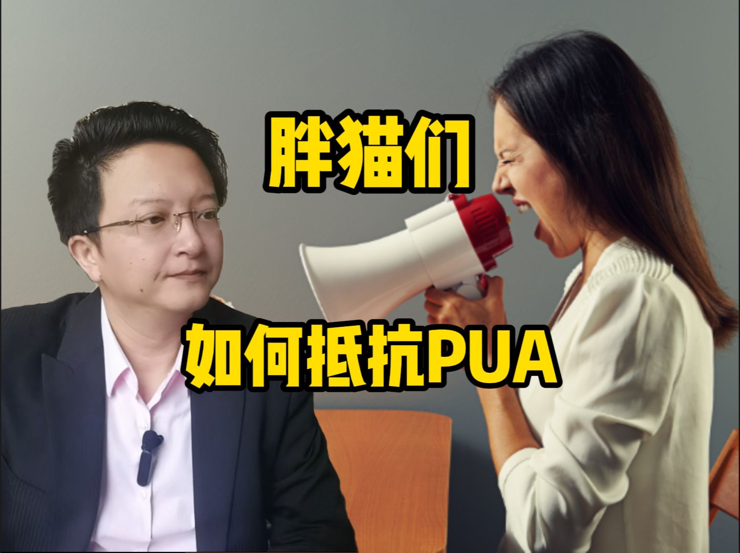 胖猫们如何才能抵制PUA?PUA作用拆解和具体破招修炼.哔哩哔哩bilibili