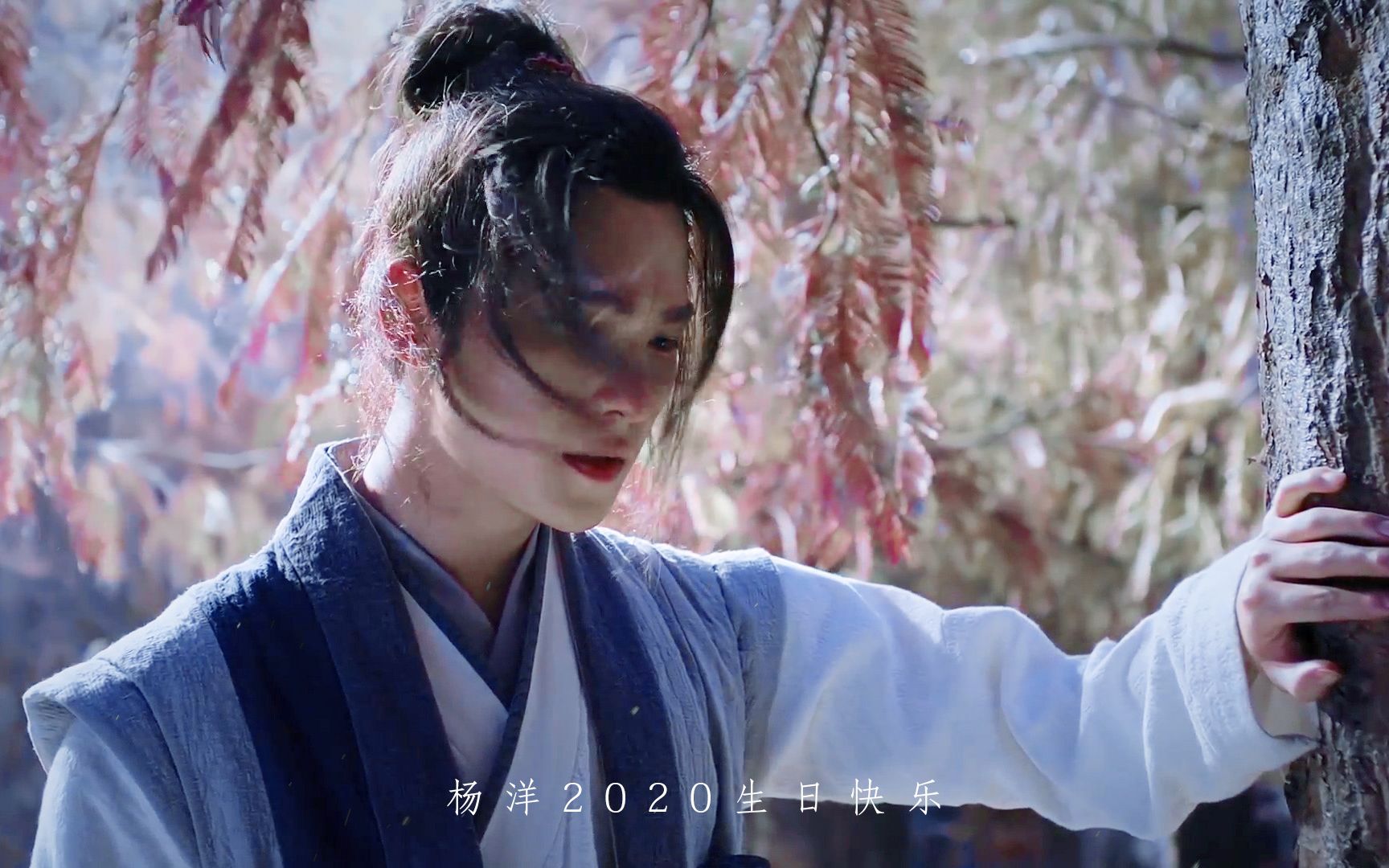 杨洋古装混剪九万字