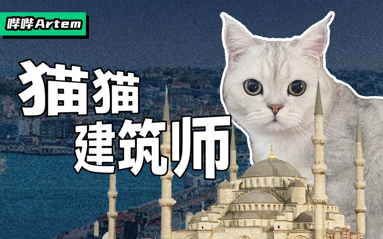 城市,建筑与猫?被猫猫控制的建筑师如何整活?伊斯坦布尔丨隈研吾丨猫城丨土耳其哔哩哔哩bilibili