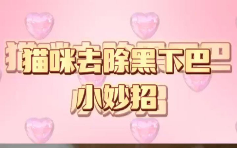 猫咪去除黑下巴小妙招哔哩哔哩bilibili