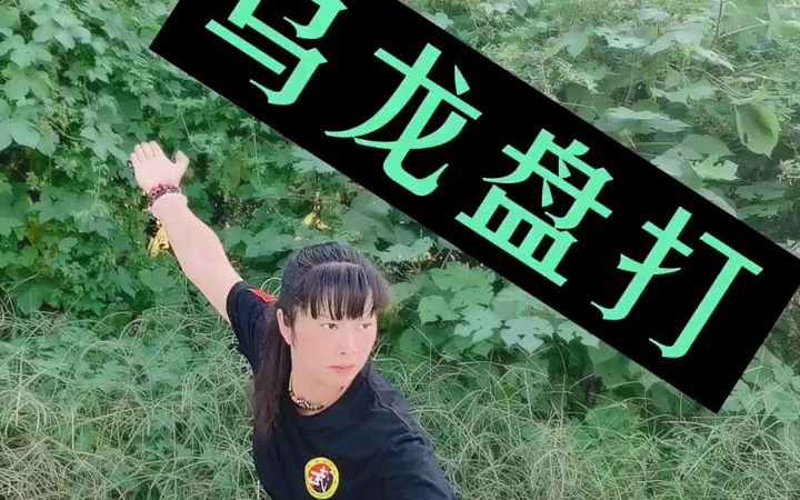 [图]【武术运动】中华传统武术武术基本功练习乌龙盘打也叫仆步轮拍