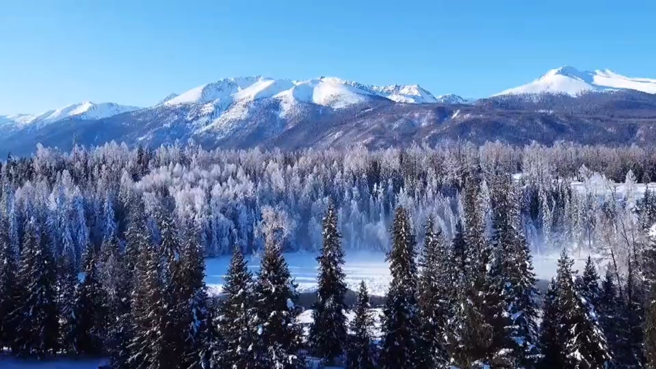 狗熊岭图片高清图片