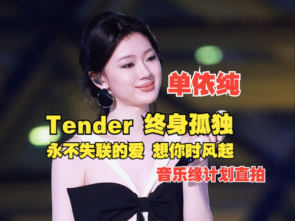 【单依纯音乐缘计划盛典】Tender+终身孤独+永不失联的爱+想你时风起 4K直拍哔哩哔哩bilibili