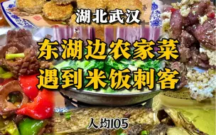 Download Video: 武汉东湖边这家土菜馆，我吃到了最贵的米饭