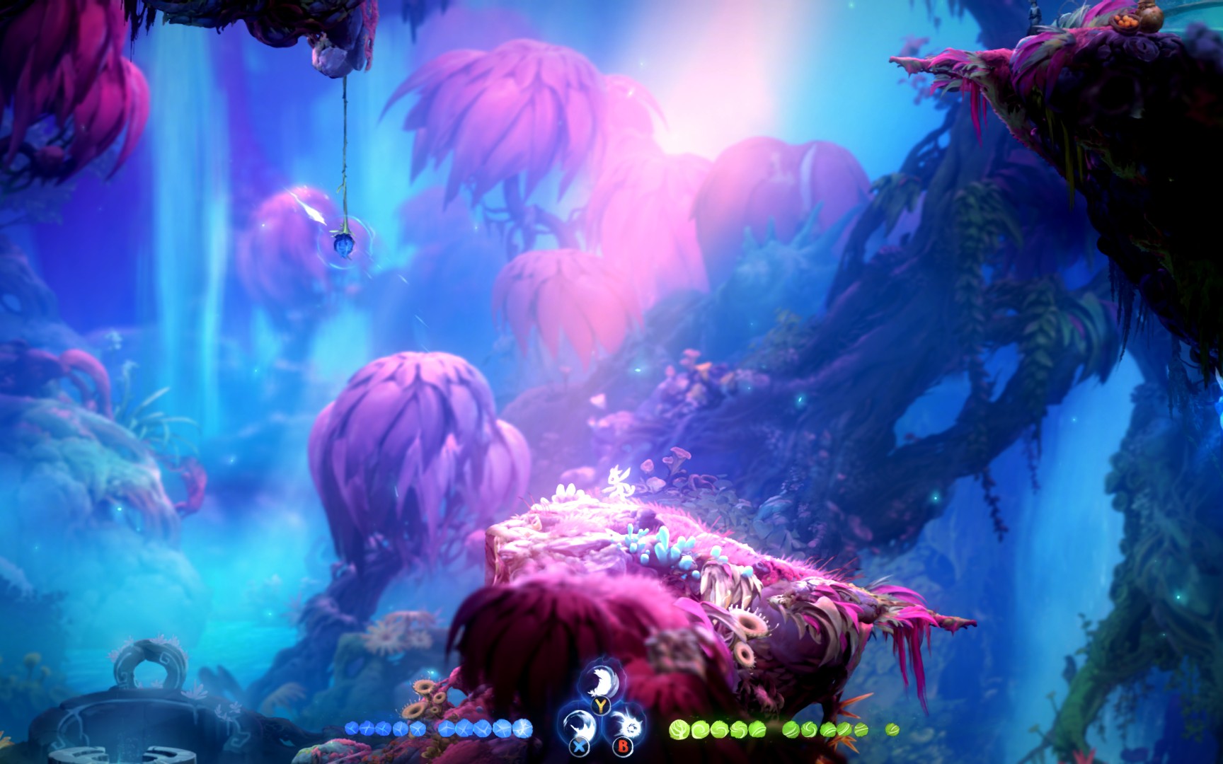 奥日2光之池逃生boss战小奥里原来也有逃不出去的一天