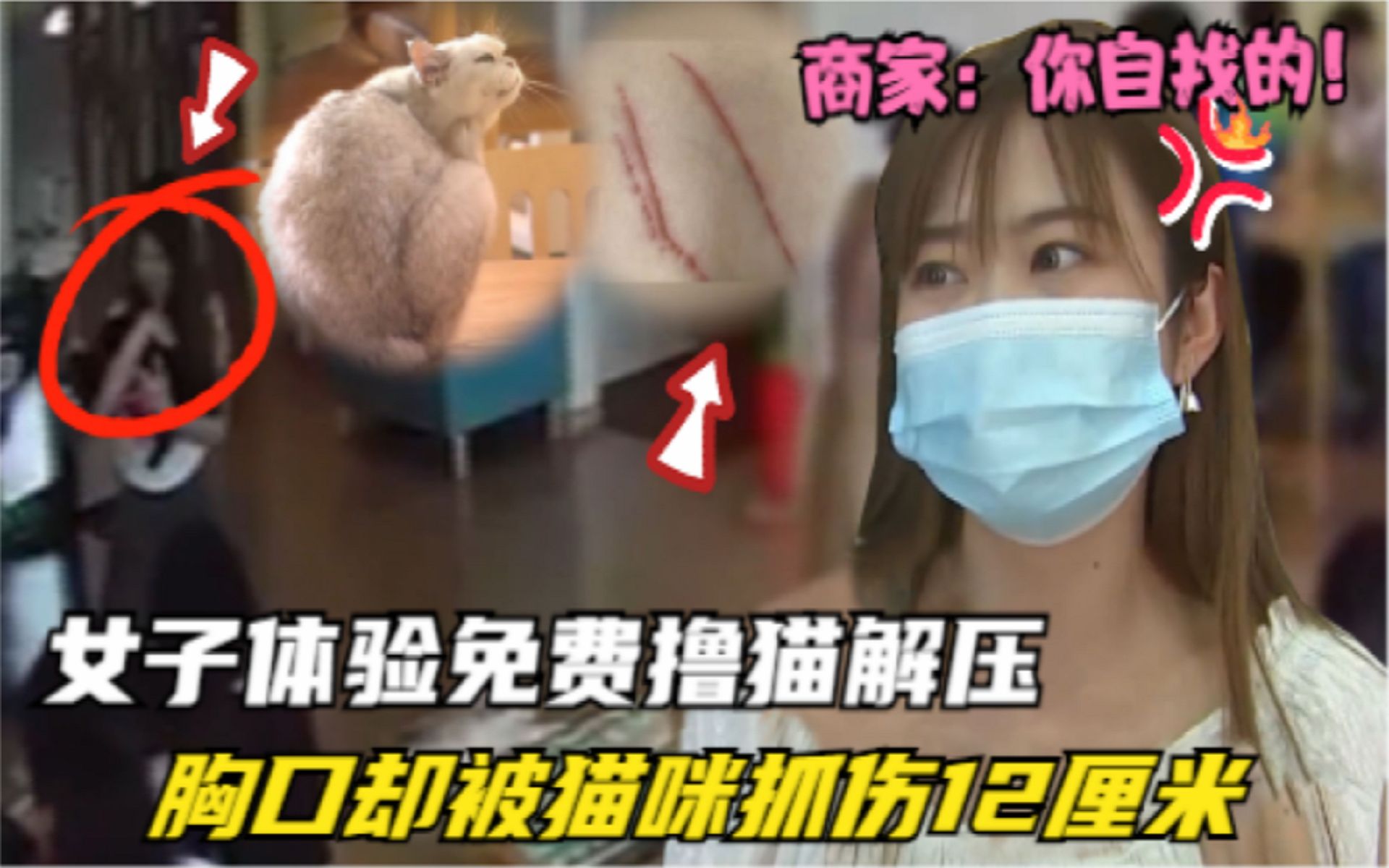 女子工作压力大,去猫咖体验免费撸猫,却被猫抓伤前胸伤口12厘米哔哩哔哩bilibili